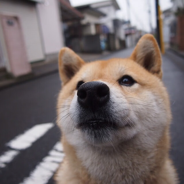 leyu乐鱼体育综合-外教未参与青训体系评估造成理念断裂，外教未参与青训体系评估造成理念断裂的原因