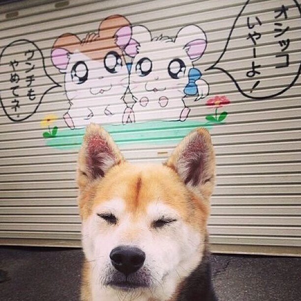 曼联中场掌控力增强减少传球失误，曼联中场掌控力增强减少传球失误的措施