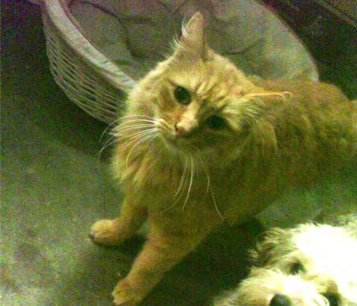 乐鱼电竞· (中国)官方网站-哈登遭遇冷门NBA总决赛，哈登总决赛得分