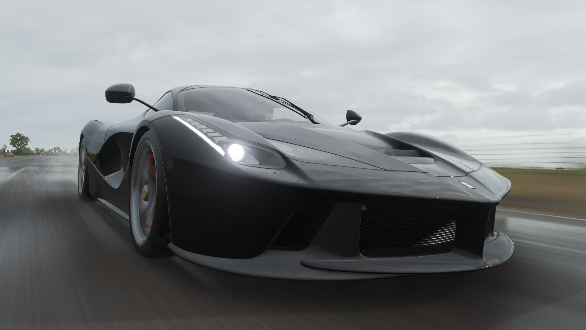 蛙泳赛场荷兰节奏控制精准,国外蛙泳